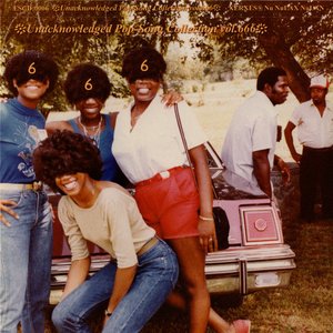 Unacknowledged Pop-Song Collection Vol. 666