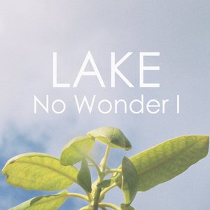 No Wonder I - Single - Lake