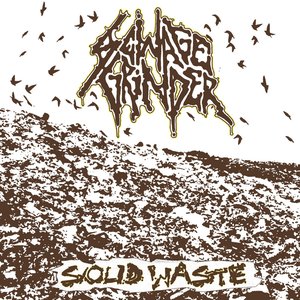 Solid Waste