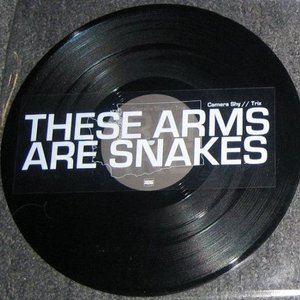 These Arms Are Snakes / Russian Circles