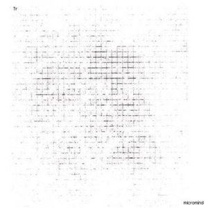 Micromind