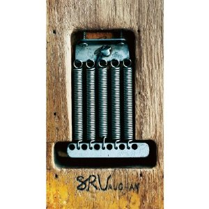 The Vaughan Brothers - Bug - Zortam Music