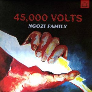 Image for '45000 volts'