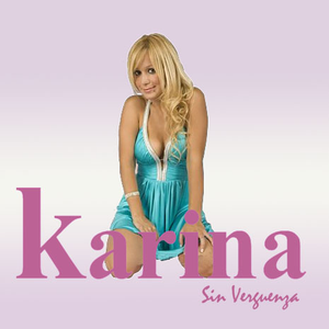 Karina - nunca voy a olvidarte Lyrics - Zortam Music