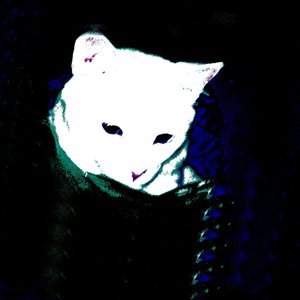 Cabeça Ultramari 的头像