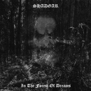 In the Forest of Dreams