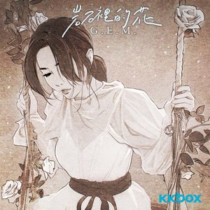 岩石裡的花