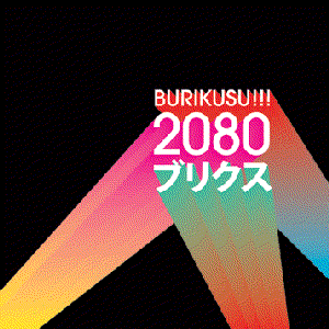 “2080”的封面