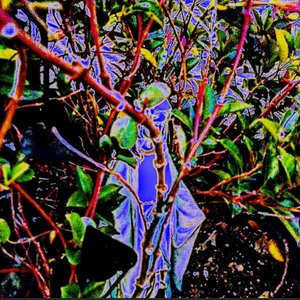 Thorn In Your Side