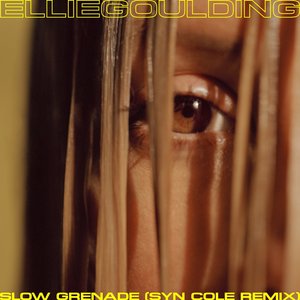 Slow Grenade (Syn Cole Remix) - Single