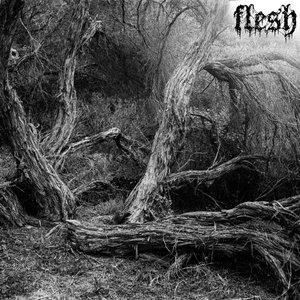 flesh