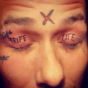 Cody Manson 的头像