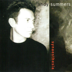 Andy Summers - Synaesthesia - Zortam Music