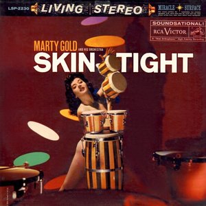Marty Gold and His Orchestra 的头像