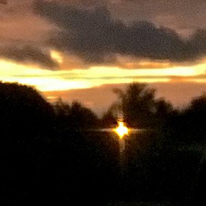 cognition [Explicit]