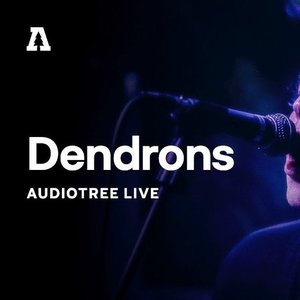 Dendrons on Audiotree Live (Live)