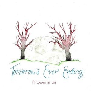 A Chance At Life