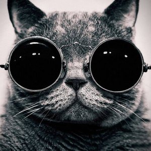 Çağrı Ergün 的头像