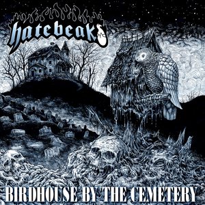 Birdhouse by the Cemetery - Single