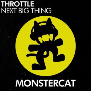 Throttle - Next Big Thing - Zortam Music