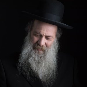 “שולי רנד”的封面