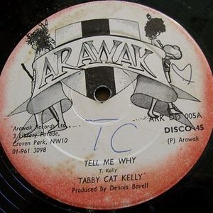 Tabby Cat Kelly 的头像