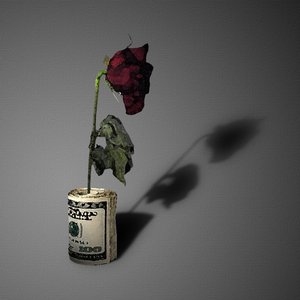 Ambition's Blind Spot