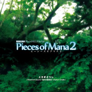 Pieces of Mana 2