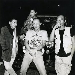Bull The Dogs 的头像