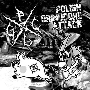 Polish Grindcore Attack