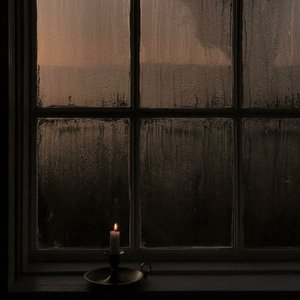 cozy solitude