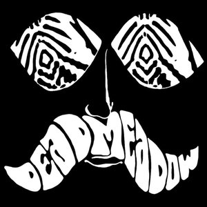 2001-01-01: [Dead Meadow's studio]