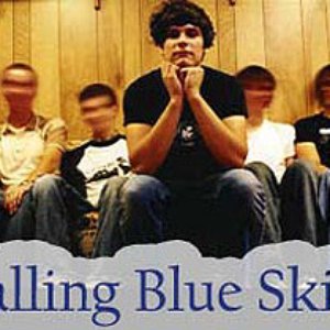 Avatar for Calling Blue Skies