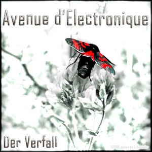 Der Verfall