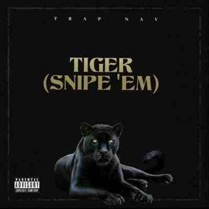 TIGER (SNIPE 'EM)