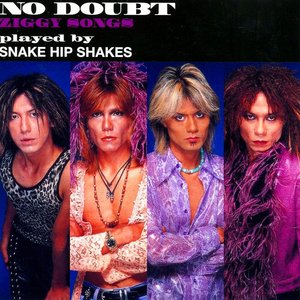 NO DOUBT -ZIGGY SONGS played by SNAKE HIP SHAKES-
