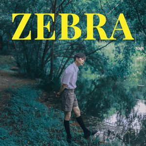 Zebra - Single