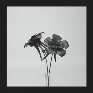 Dark Lotus - Single