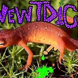 Newtdick 的头像