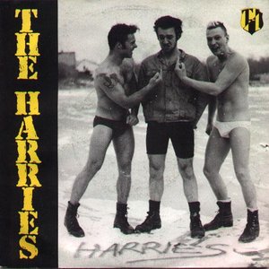 harries'89 的头像