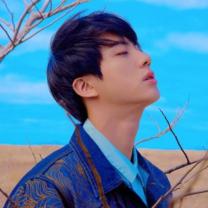 Image for '김석진'