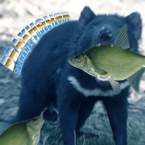 Tasmansk Pungdjävul