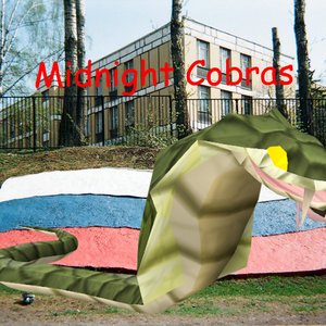 Midnight Cobras 的头像