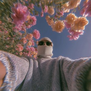 maybe m... 的头像