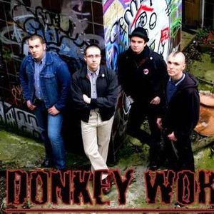 Avatar for Donkey Work
