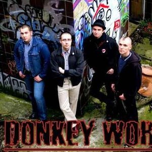 Donkey Work için avatar