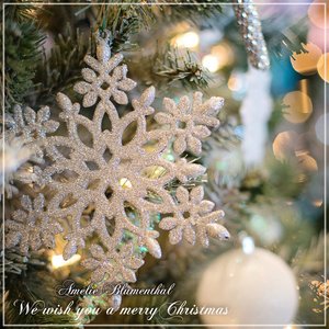 We wish you a Merry Christmas