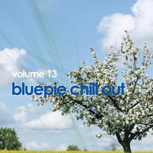 Chill Out Vol 13