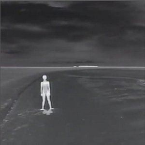 Void Wanderers