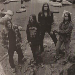 Amorphis 的头像